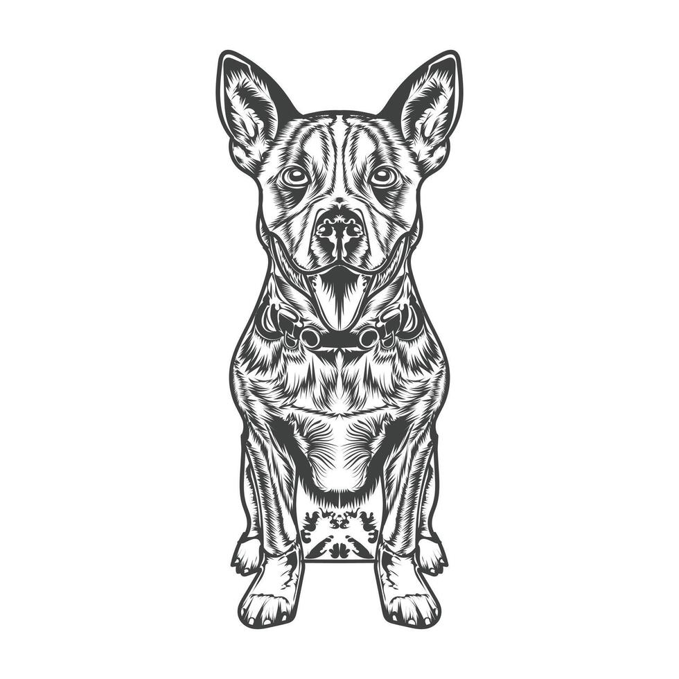 cane illustrazione design modello bianca sfondo vettore