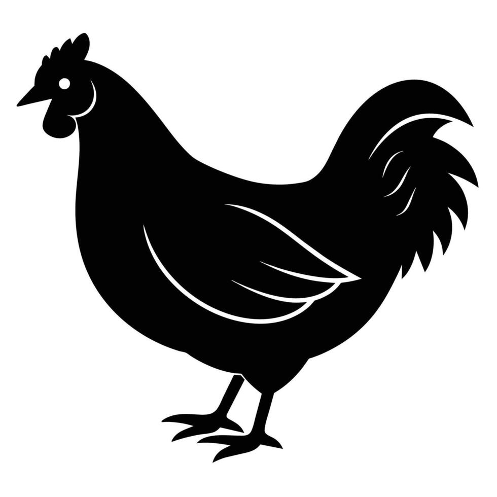 illustrazione di pollo su bianca sfondo vettore