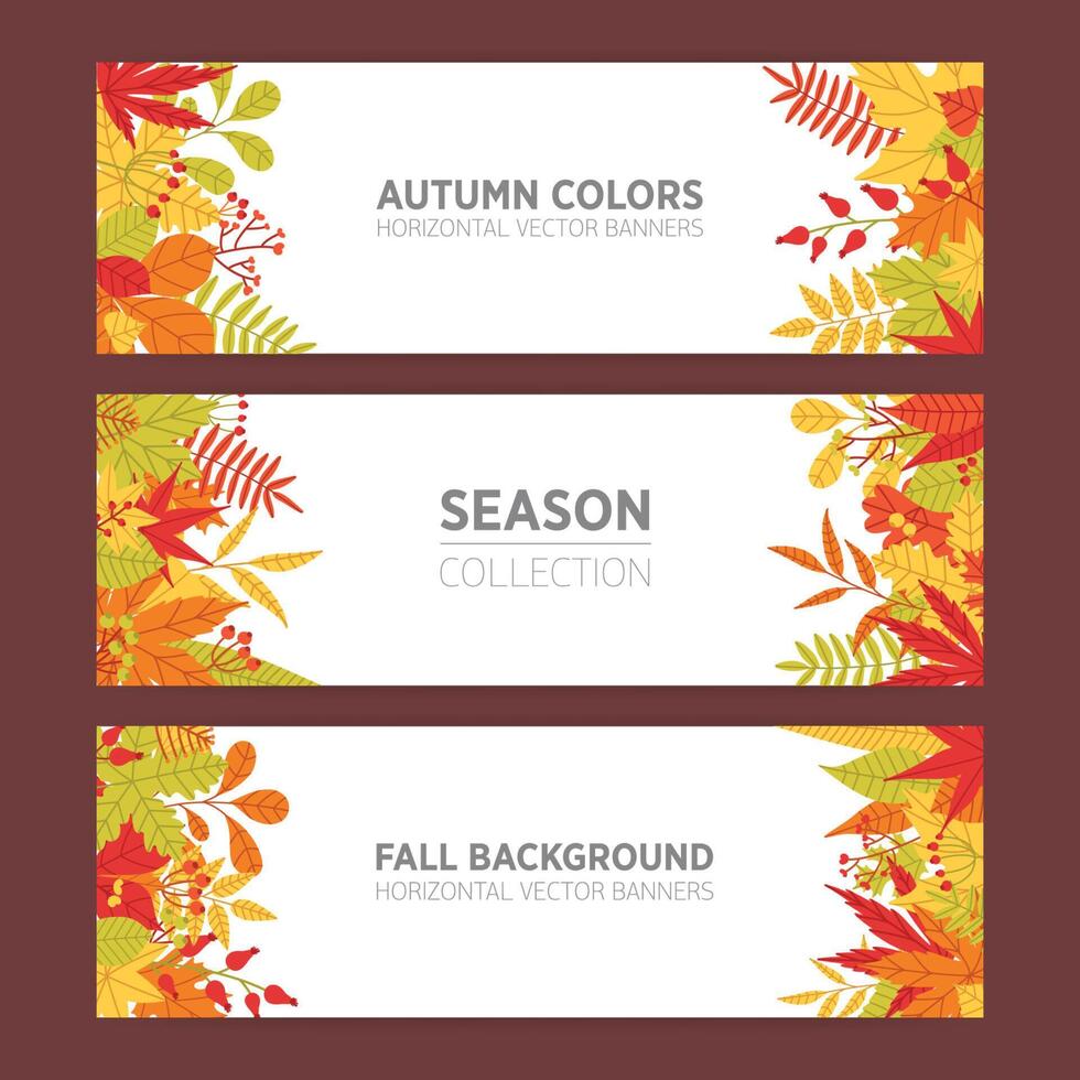 collezione di di stagione orizzontale bandiera modelli con luminosa colorato autunno albero le foglie o colorato fogliame e rami su bianca sfondo e posto per testo. naturale illustrazione. vettore