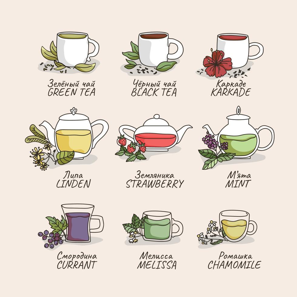 set di diversi tipi di tè, teiere e tazze con illustrazioni di piante. bevande invernali ed estive. tè verde e nero, giacinto. menta, camomilla, melissa, tiglio, ribes, fragola. vettore