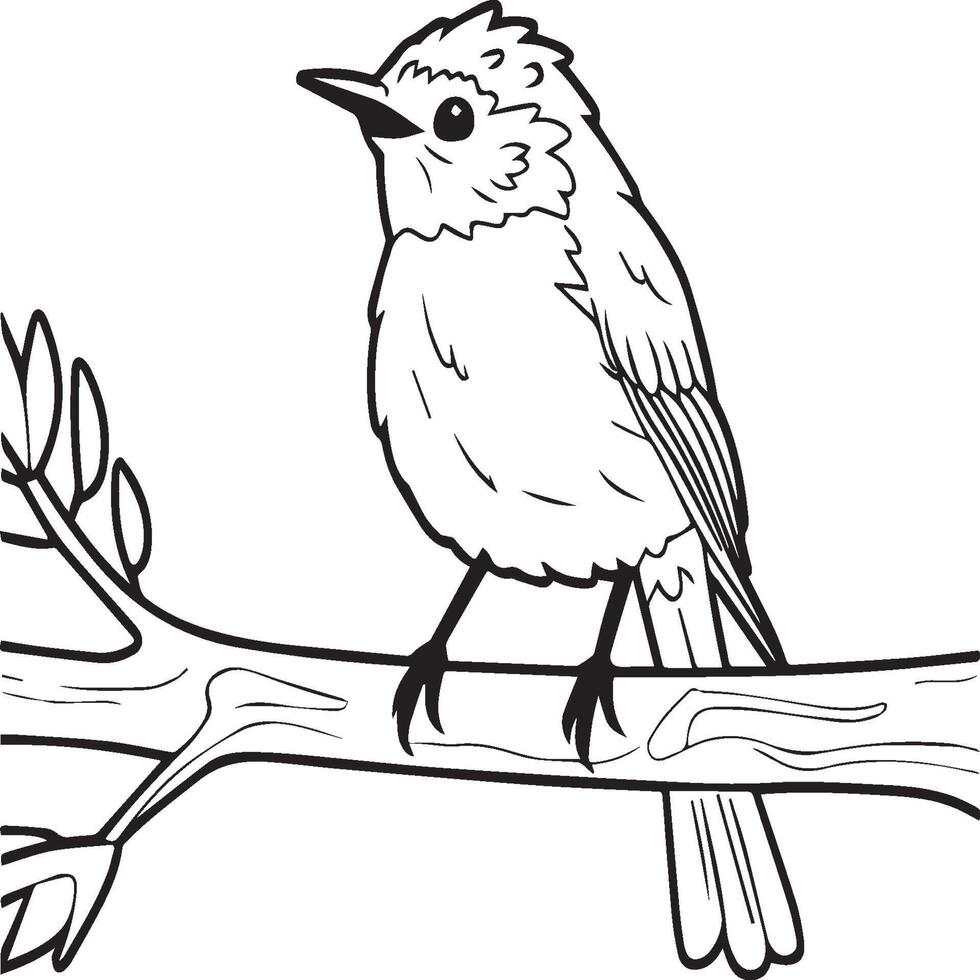 pettirosso colorazione pagine. pettirosso uccello schema per colorazione libro vettore