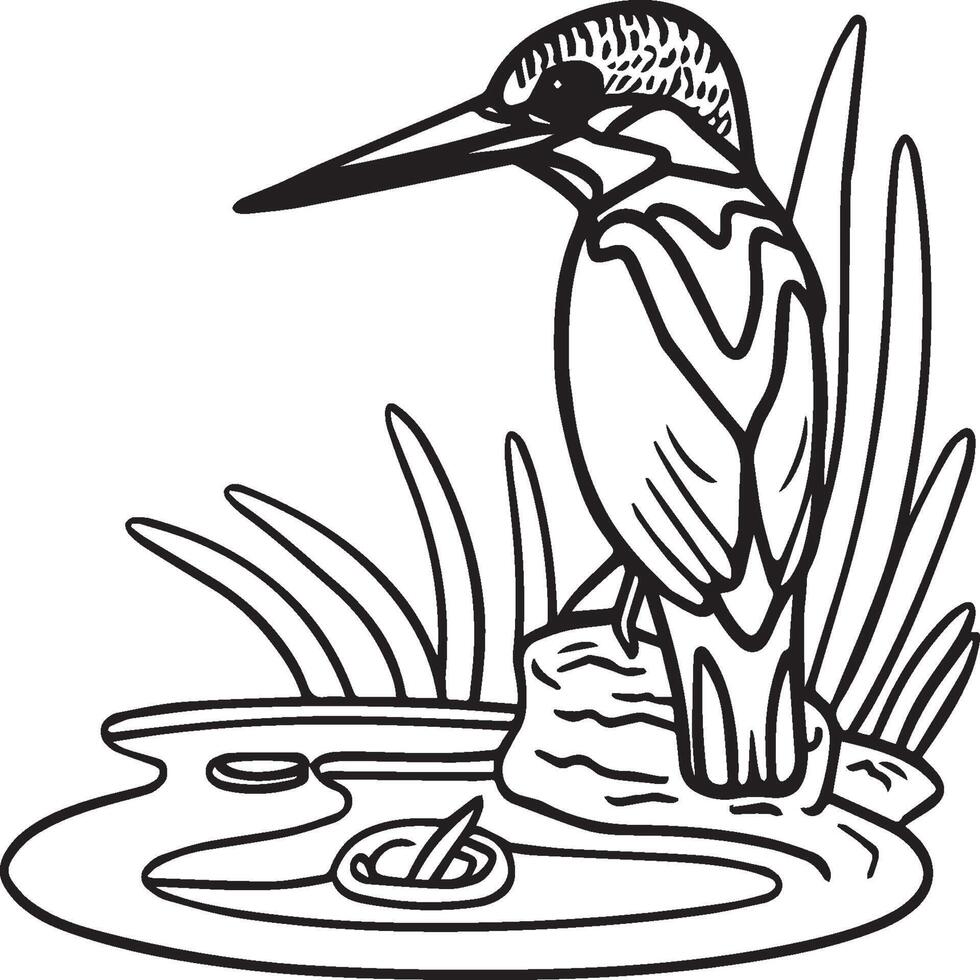 martin pescatore colorazione pagina. un' nero e bianca disegno di martin pescatore vettore