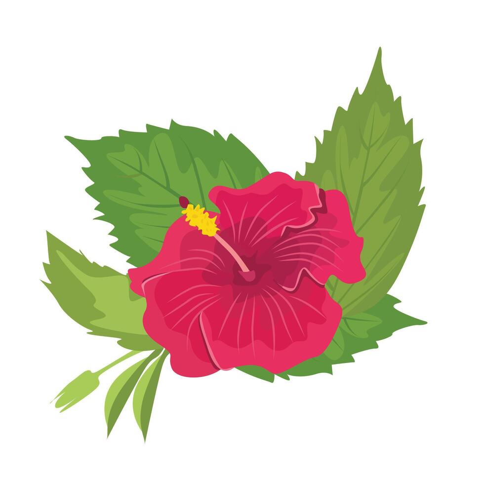 ibisco fiore illustrazione. ibisco clip arte. esotico tropicale fiore. estate fiore piatto nel cartone animato stile isolato su bianca sfondo. vettore