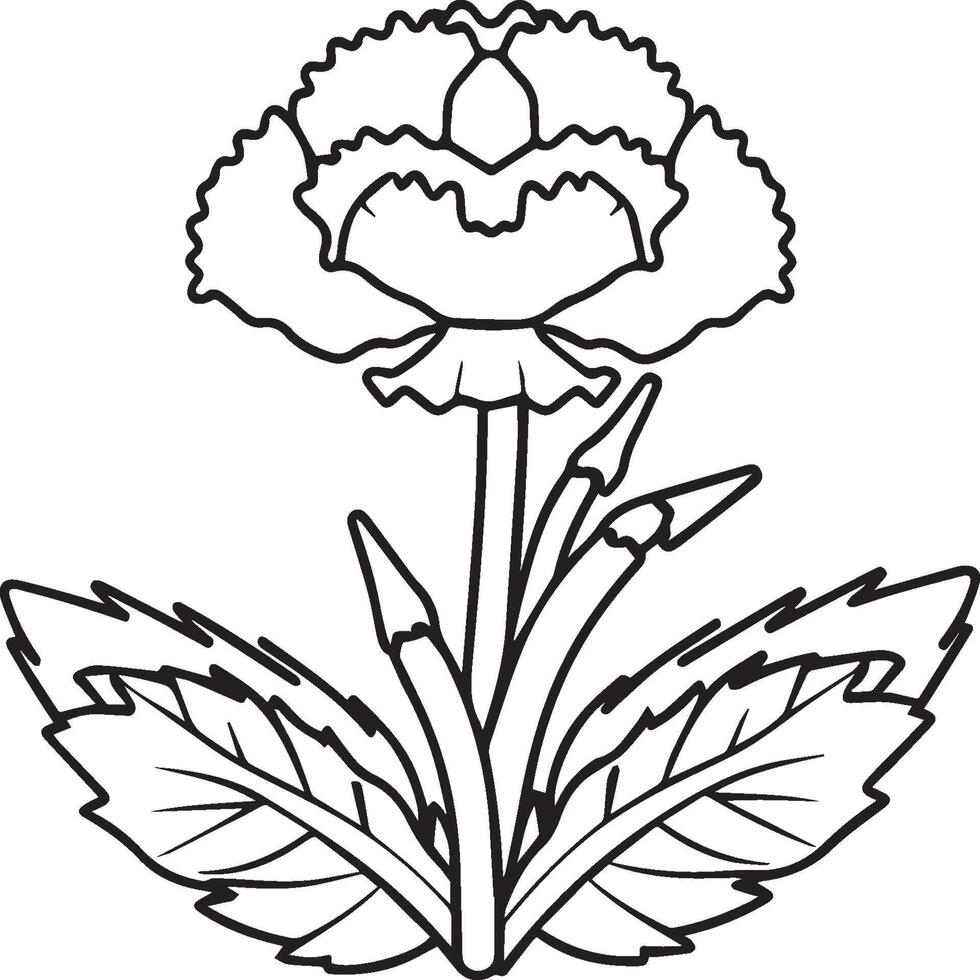 garofano fiore colorazione pagine. garofano fiore schema vettore