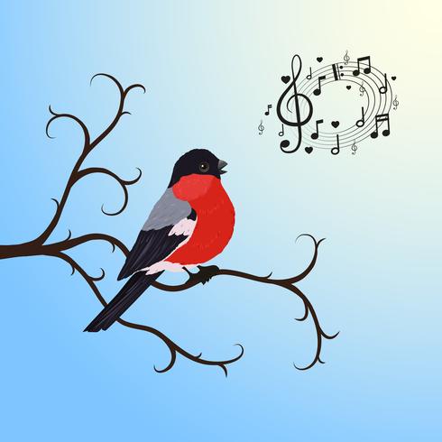 Uccello del bullfinch di canto su un ramo di albero vettore