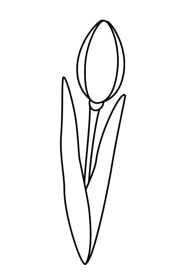 schema disegno di tulipano germoglio. design elementi per colorazione libro o primavera saluti, carte. icona vettore