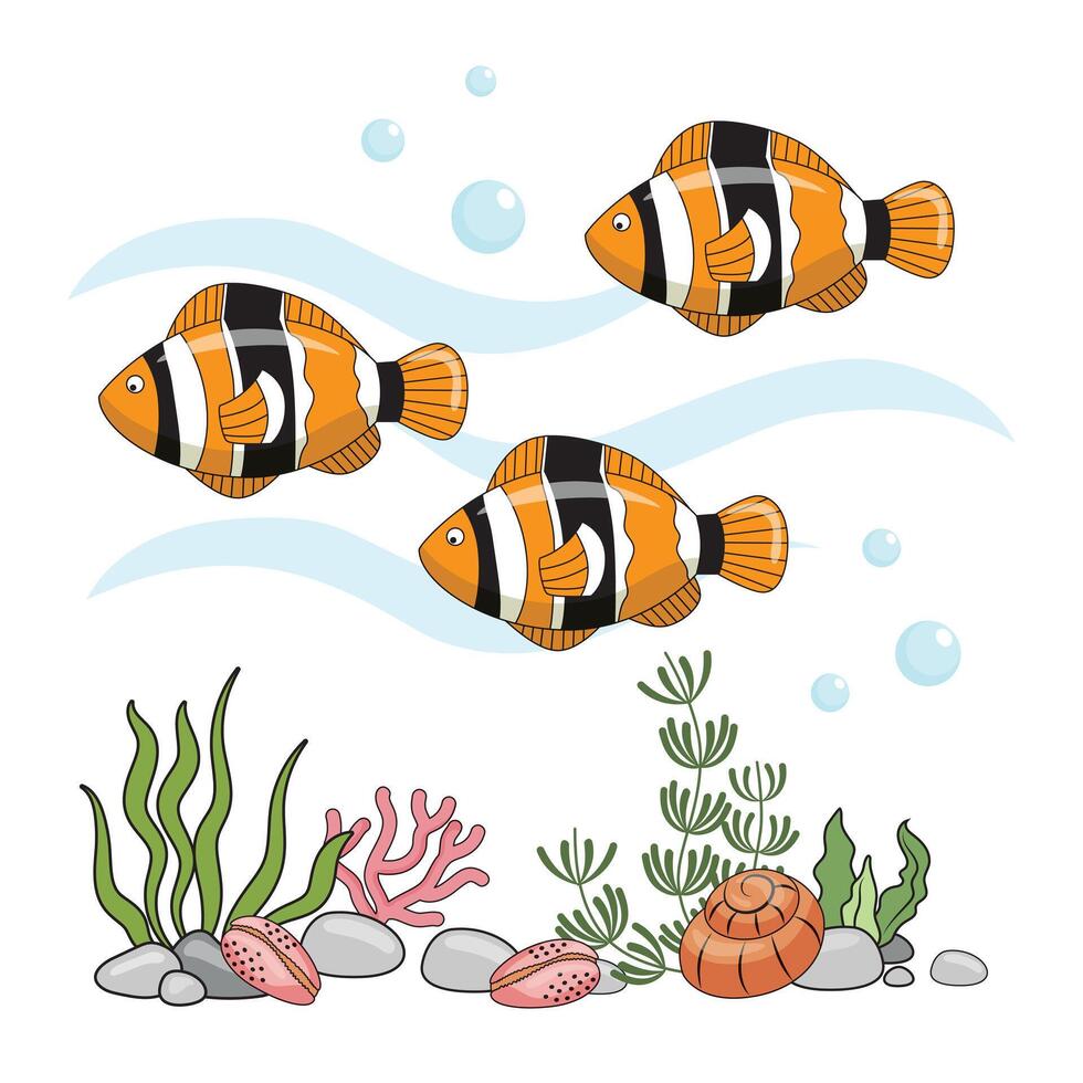 colorato mare pesce scogliera pesce , clown pesce o anemone pesce con alghe su mare parte inferiore. fondale marino con alghe, conchiglie e coralli vettore