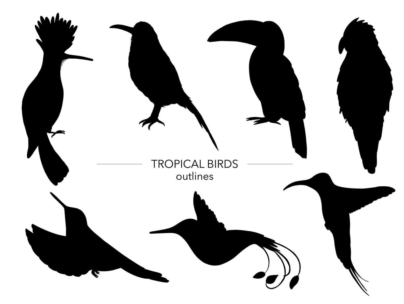 set vettoriale di uccelli tropicali. sagome nere disegnate a mano di pappagallo, uccello del paradiso, tucano, upupa. collezione in bianco e nero di animali tropicali.