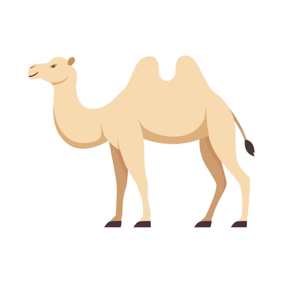 piatto illustrazione di cammello su isolato sfondo vettore