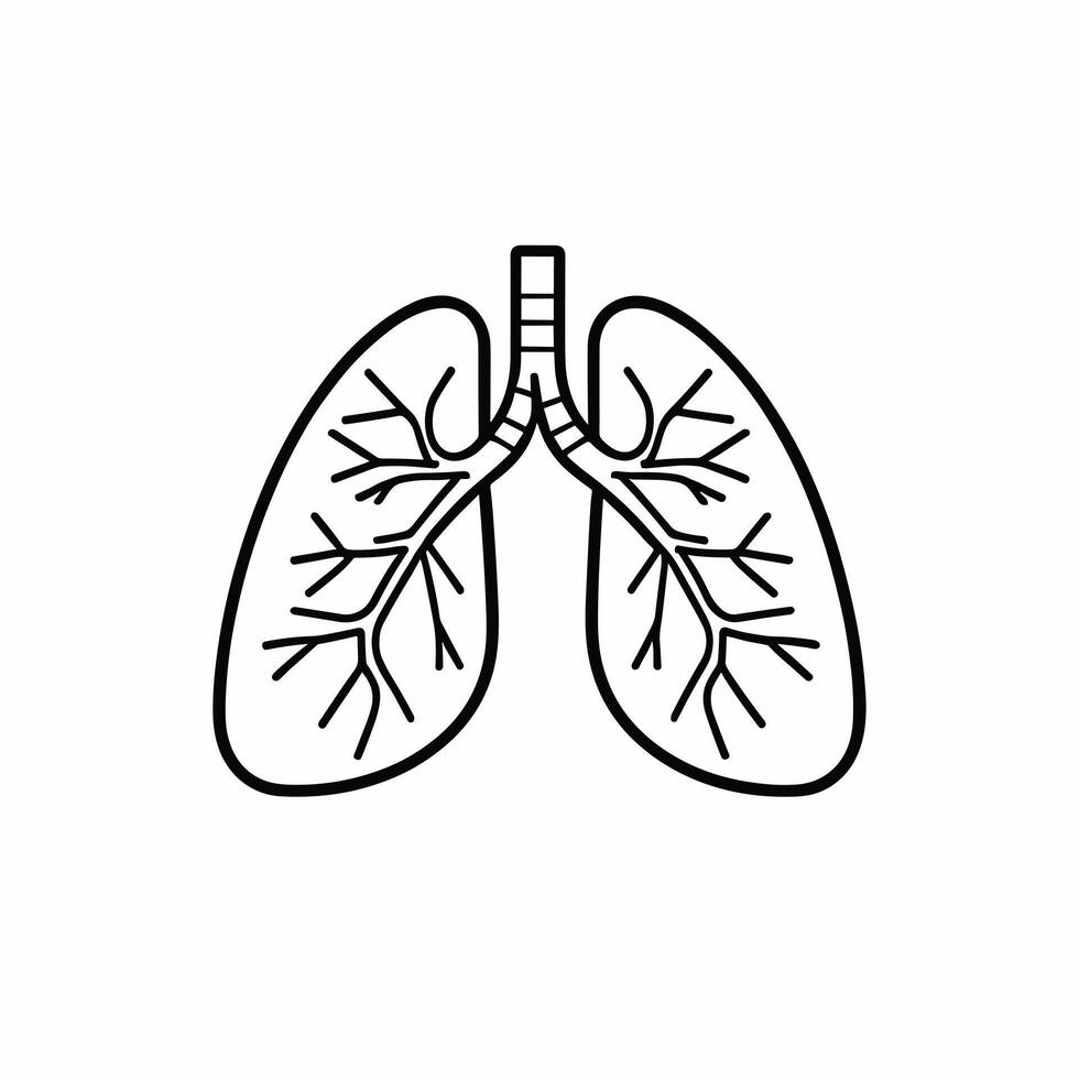 umano polmoni anatomia icona illustrazione piatto 2d design vettore