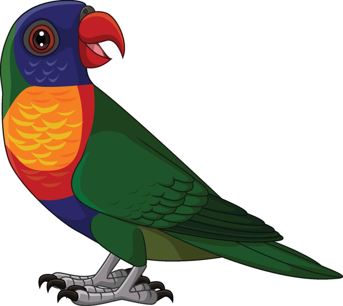 cartone animato arcobaleno lorikeet su bianca sfondo vettore