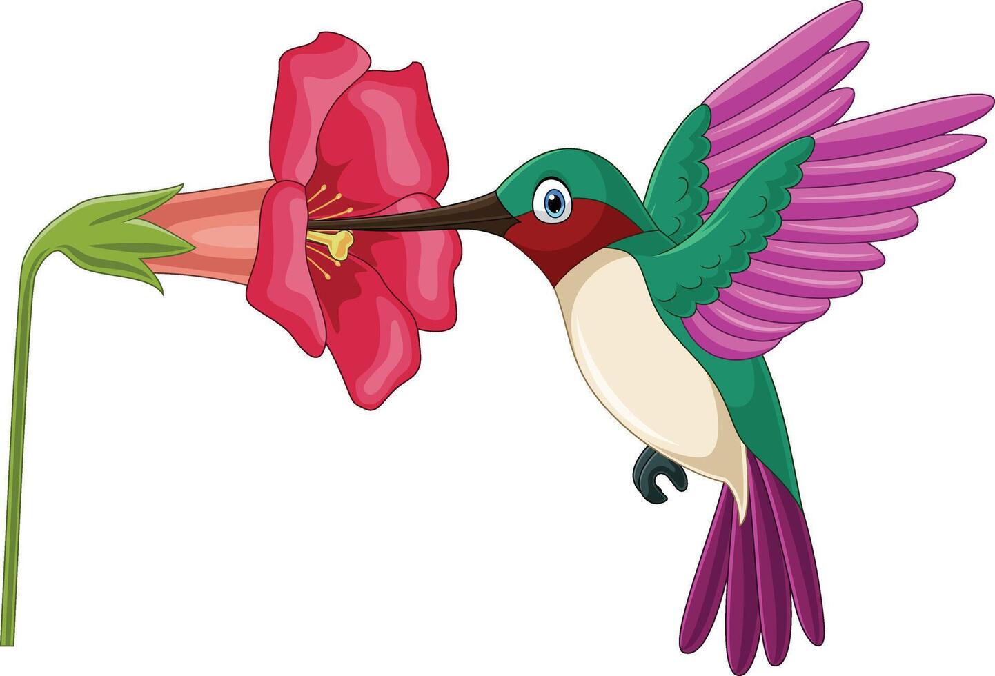 cartone animato colibrì sorseggiando nettare a partire dal fiori vettore