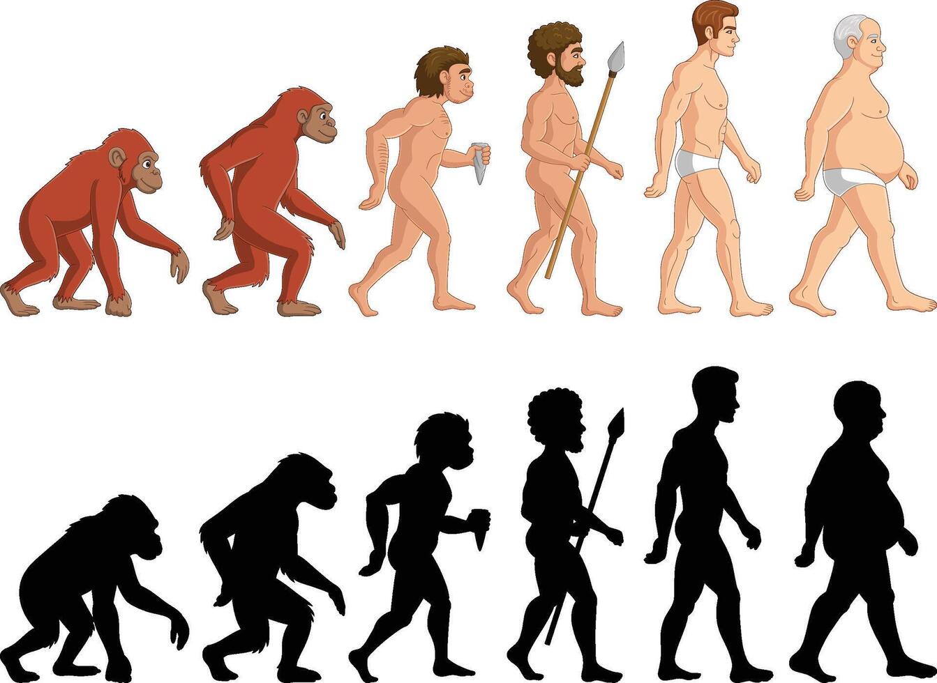 cartone animato Evoluzione uomo su bianca sfondo vettore