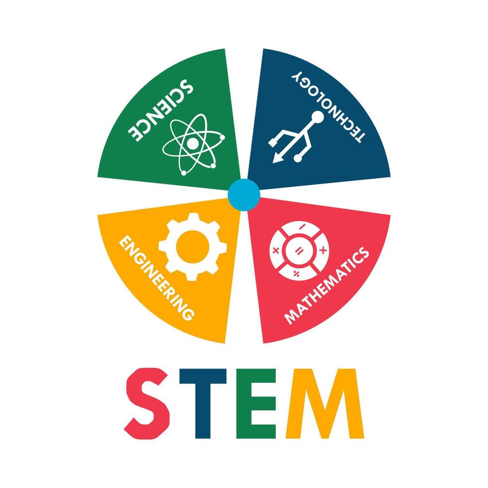 stelo - scienza, tecnologia, ingegneria e matematica. formazione scolastica illustrazione vettore