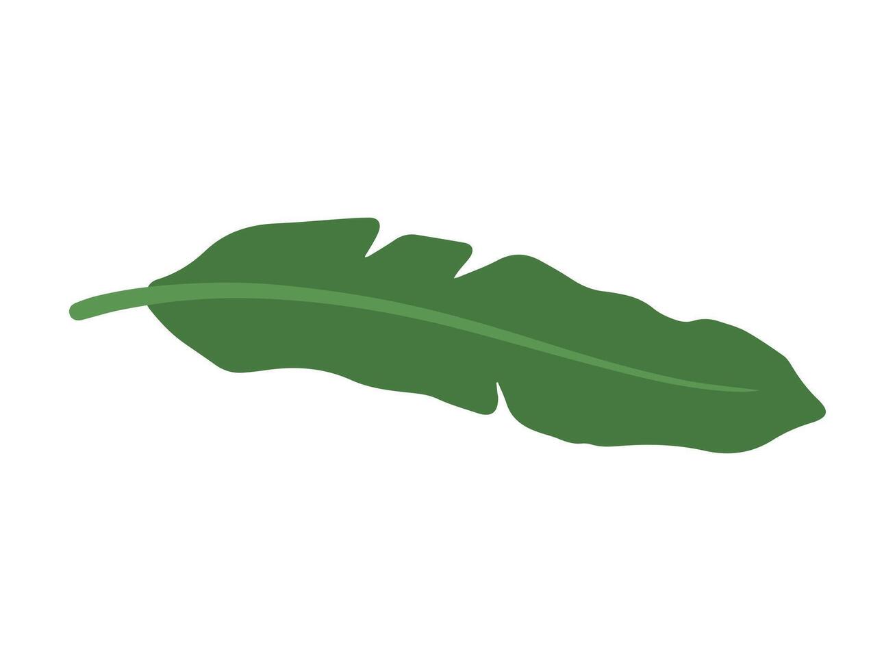 Banana verde foglia sfondo illustrazione vettore
