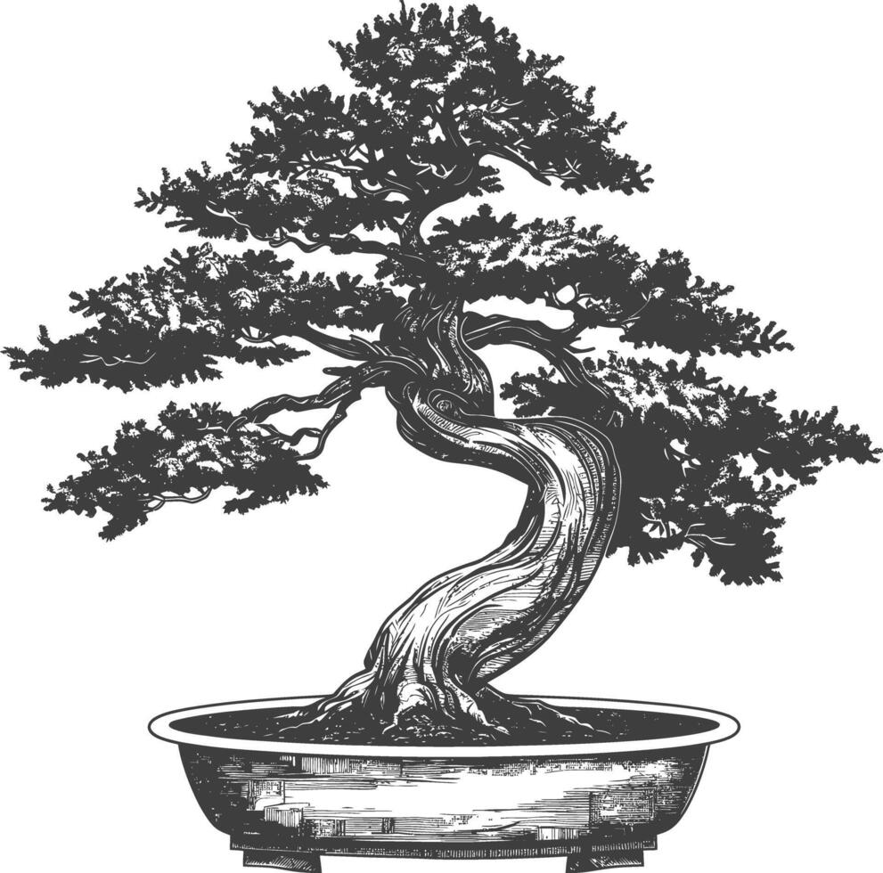 Bonsai albero immagini utilizzando vecchio incisione stile corpo nero colore solo vettore