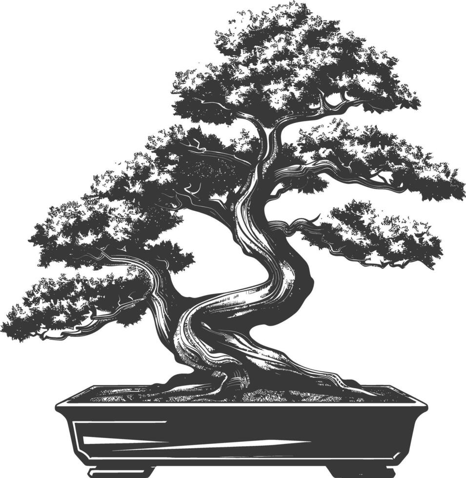 Bonsai albero immagini utilizzando vecchio incisione stile corpo nero colore solo vettore