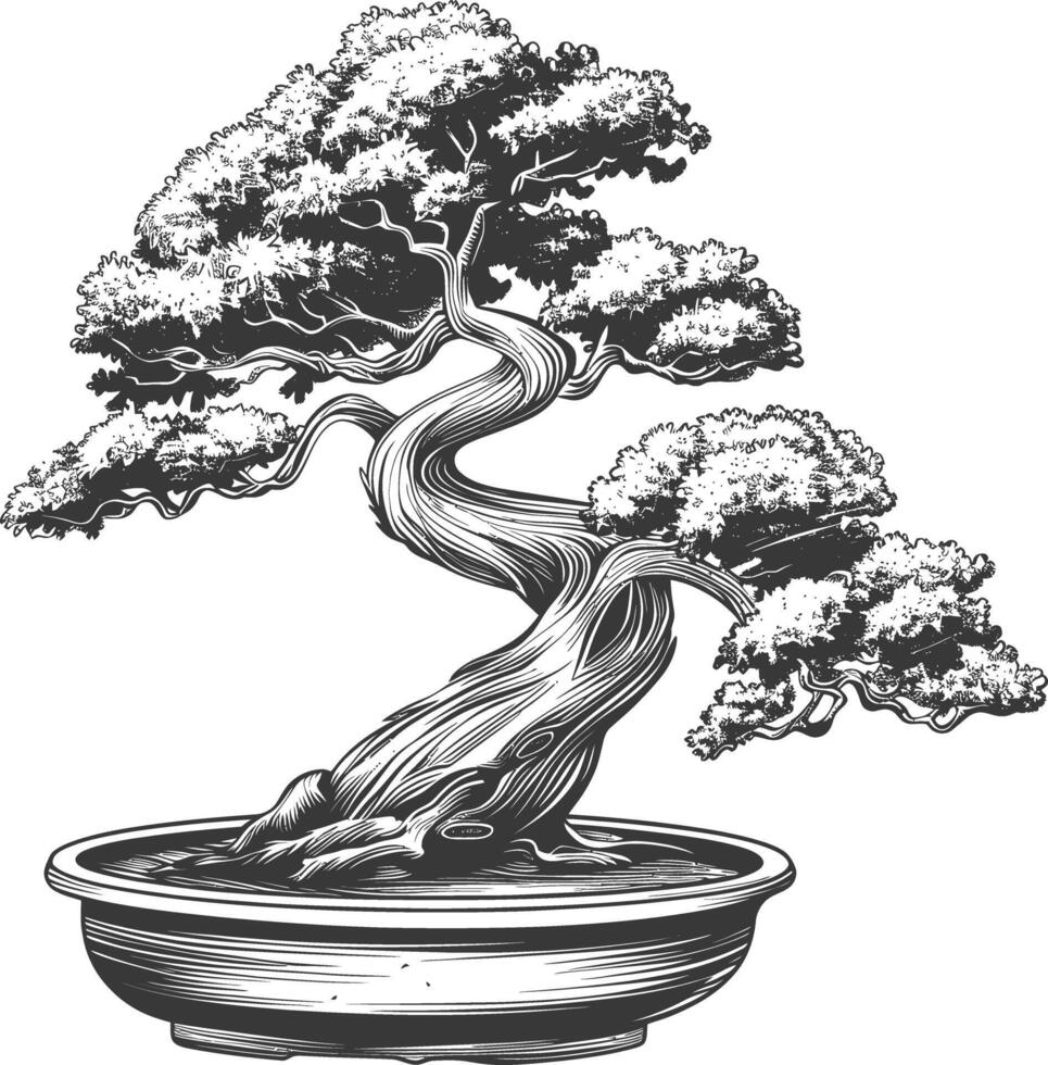 Bonsai albero immagini utilizzando vecchio incisione stile corpo nero colore solo vettore