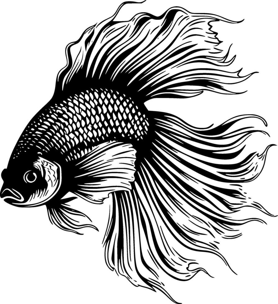 betta pesce - alto qualità logo - illustrazione ideale per maglietta grafico vettore