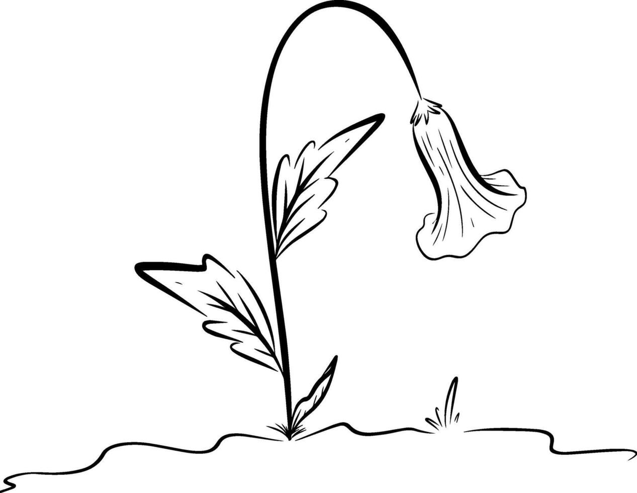 mano disegnato schizzo di lineare fiore. illustrazione vettore