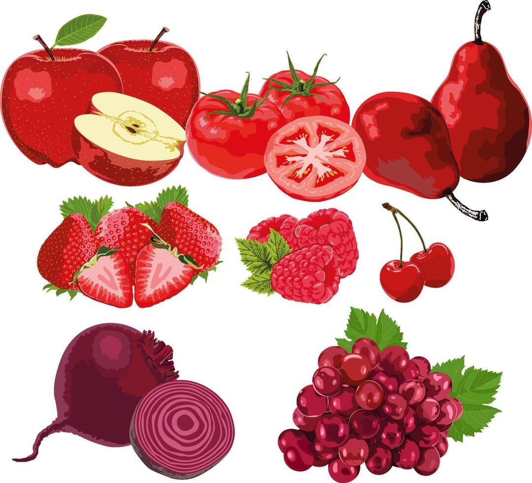 rosso frutta e verdure impostato 2 vettore
