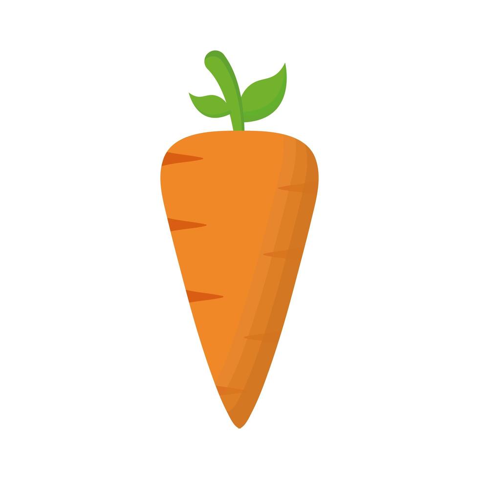 disegno vettoriale di carota isolata vegetale