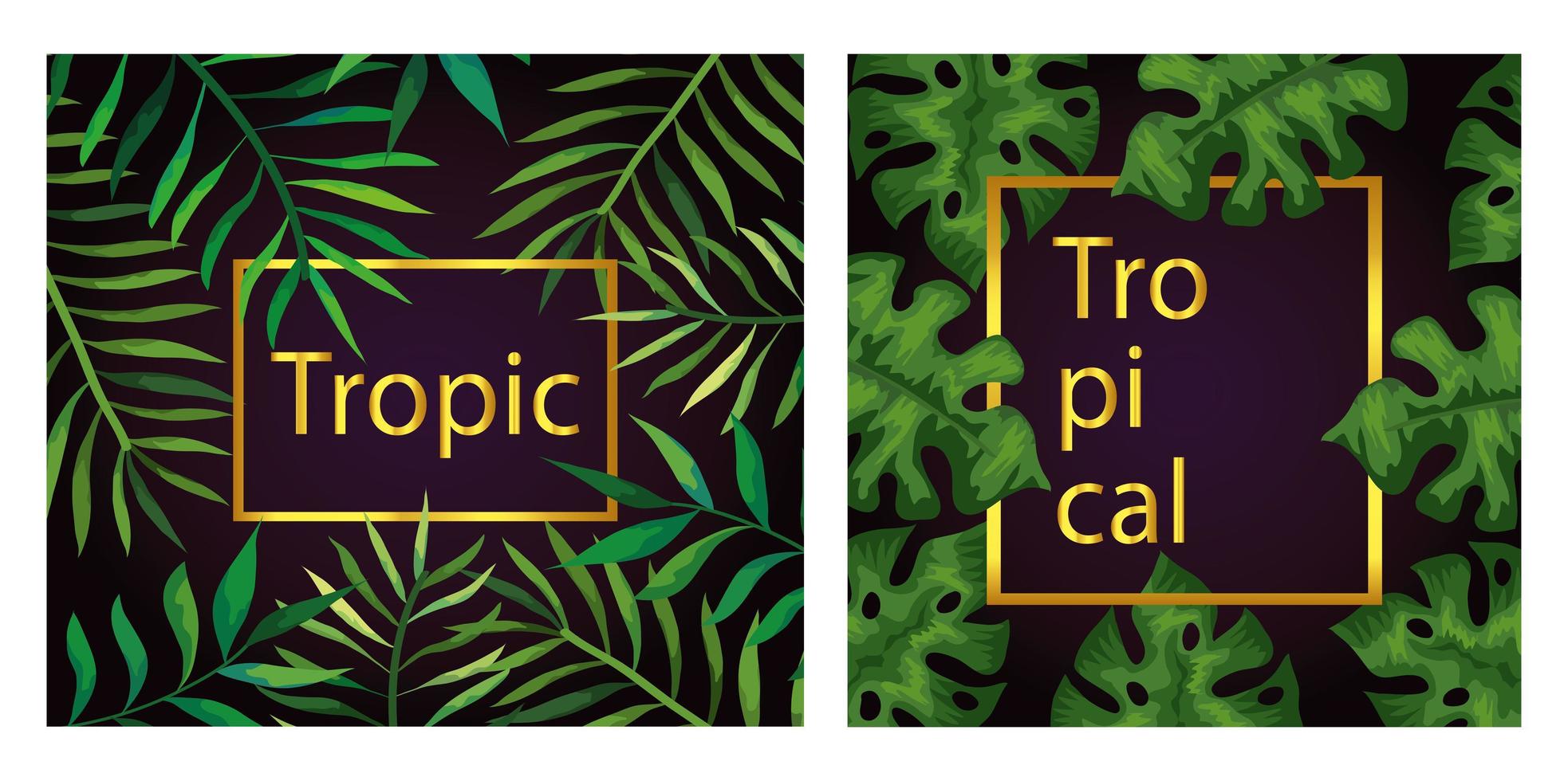 set di cornici tropicali di rami con foglie vettore