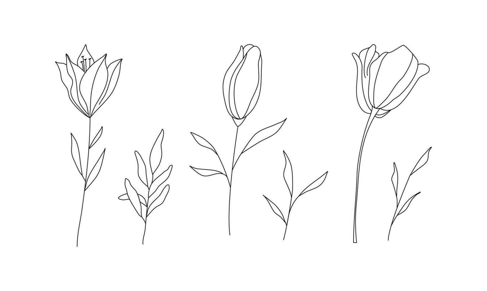 mano disegnato selvaggio campo flora, fiori, foglie, erbe aromatiche, impianti, rami. minimo floreale botanico linea arte. illustrazione per logo o tatuaggio, inviti, Salva il Data carta vettore