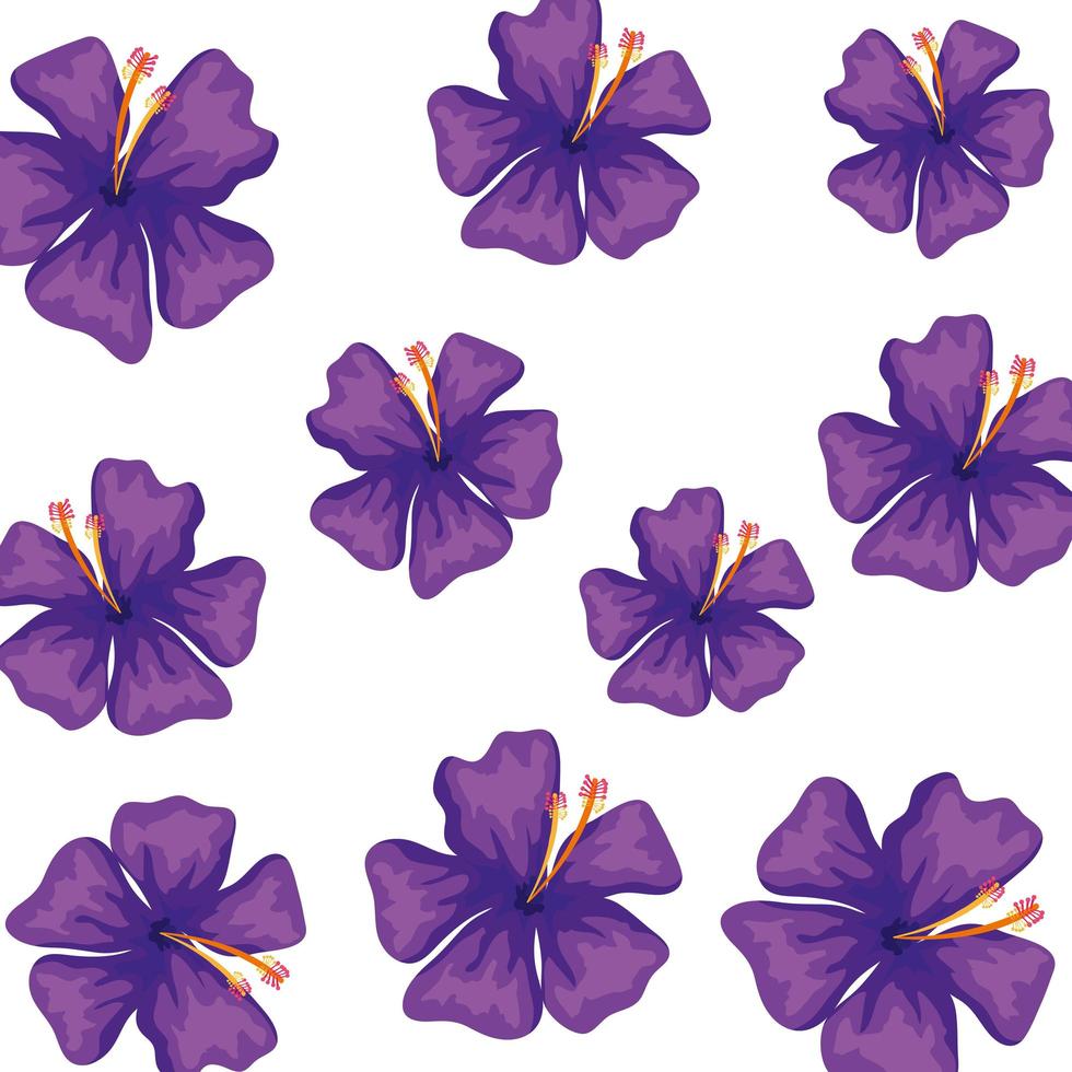 sfondo di graziosi fiori di colore viola vettore