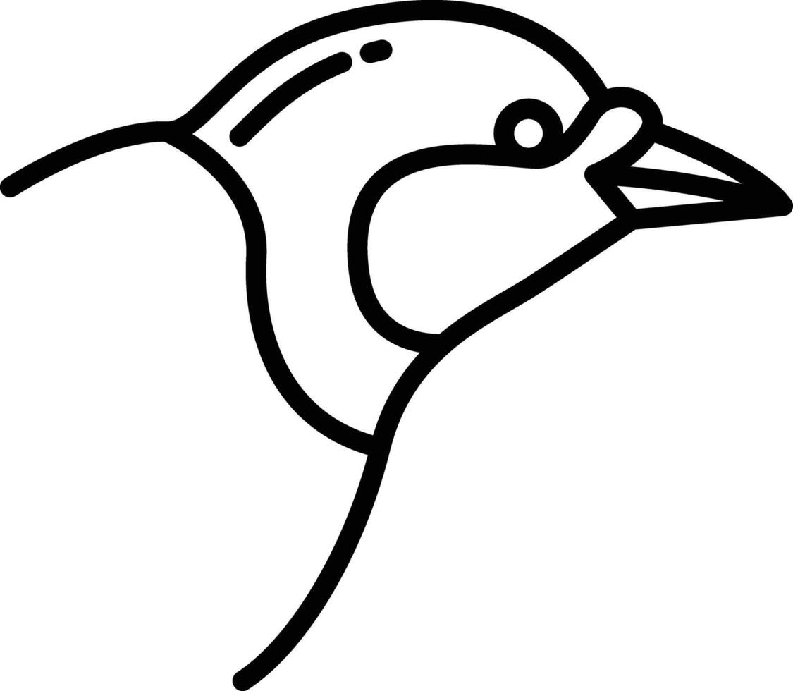paradisiaco uccello schema illustrazione vettore