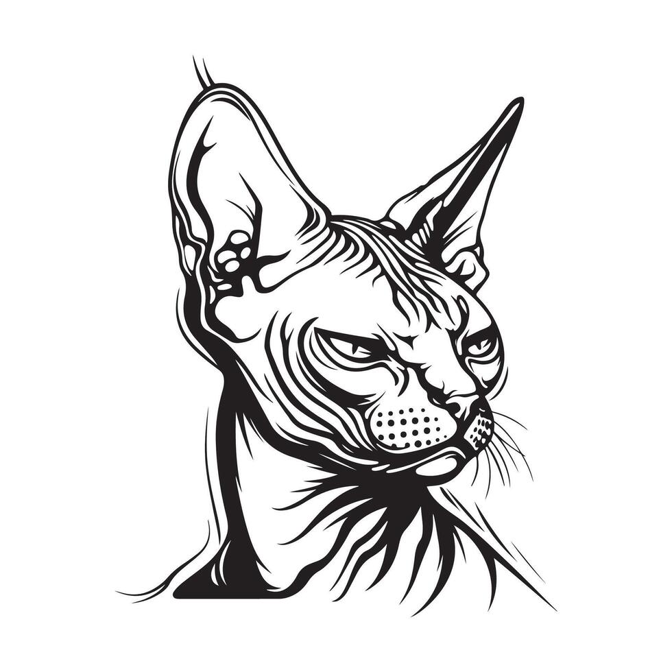 sfinge gatto testa Immagine, disegno, arte, icone, e grafica vettore