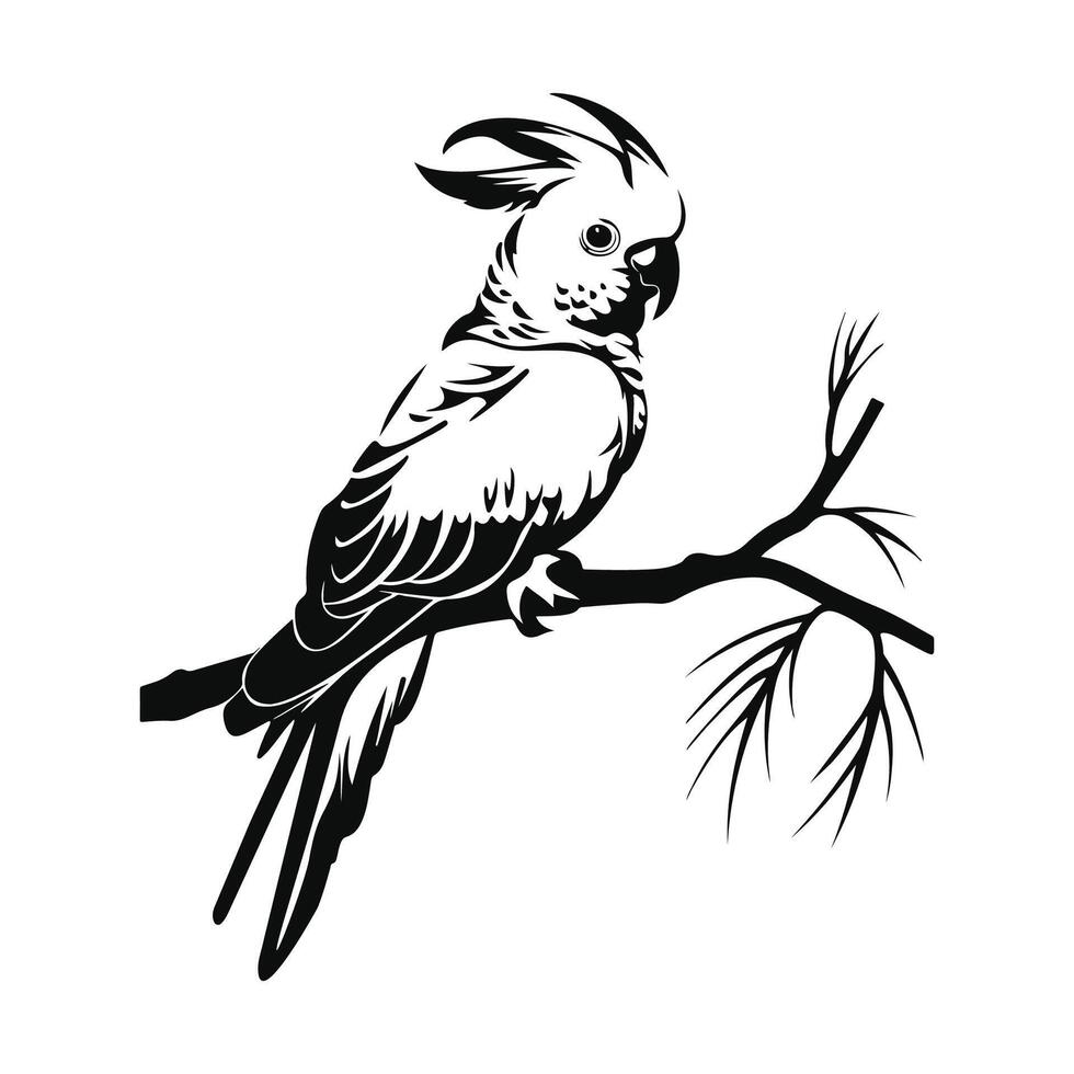 cacatua uccello esotico ramo Immagine illustrazione vettore