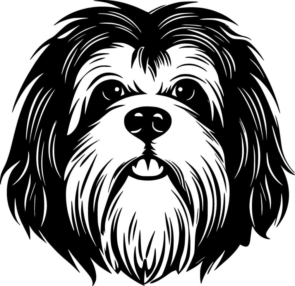 havanese, minimalista e semplice silhouette - illustrazione vettore