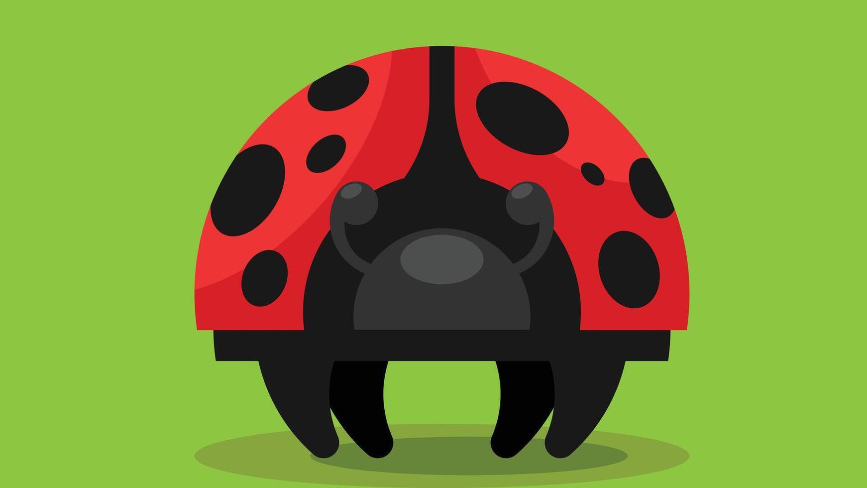 coccinella insetto cartone animato per bambini colorazione pagine vettore