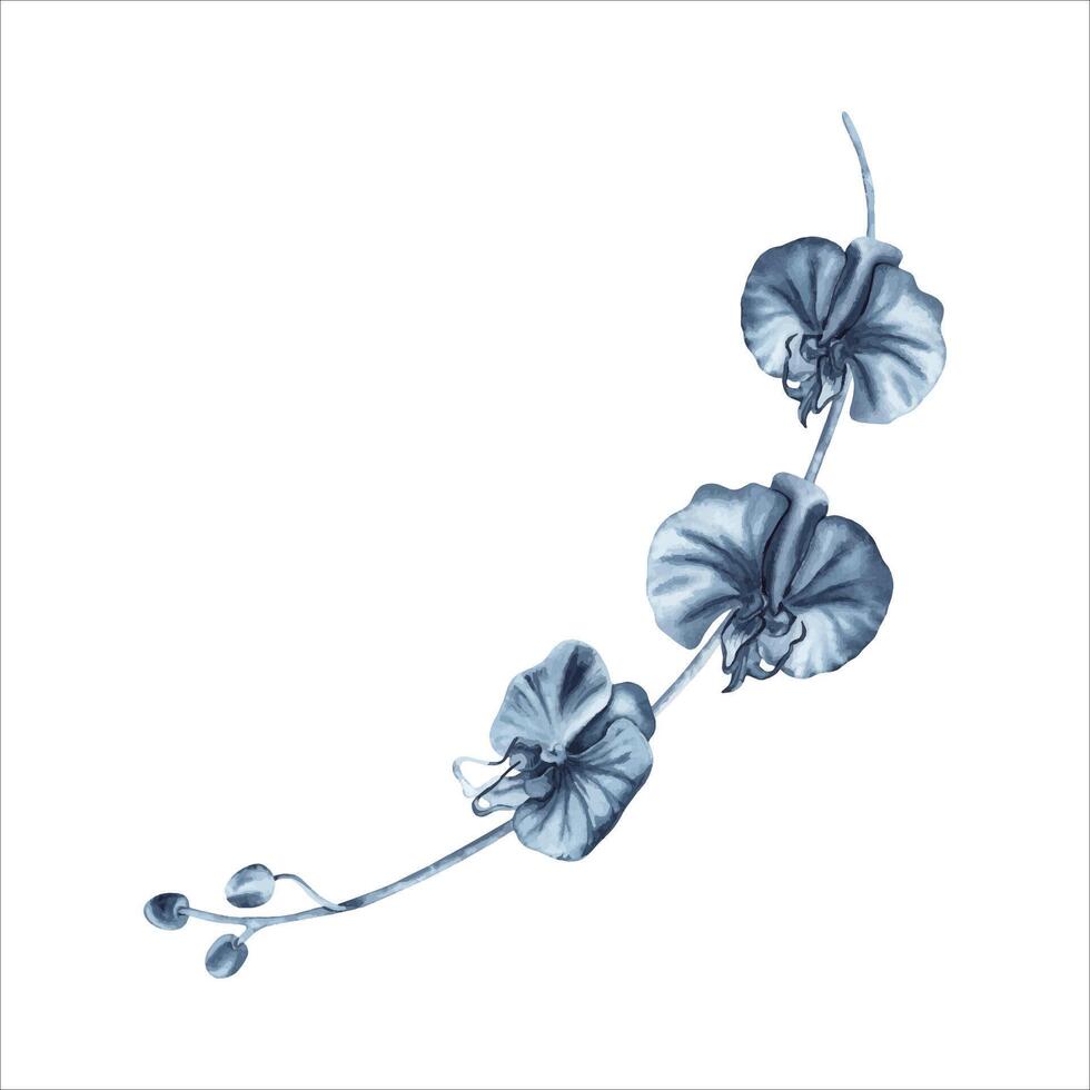 blu orchidea fiori ramo con mini cuffie. acquerello mano disegnato illustrazione isolato su bianca sfondo. indaco monocromatico floreale pittura per moda disegni, stampe, modelli, tatuaggi, floreale carte vettore