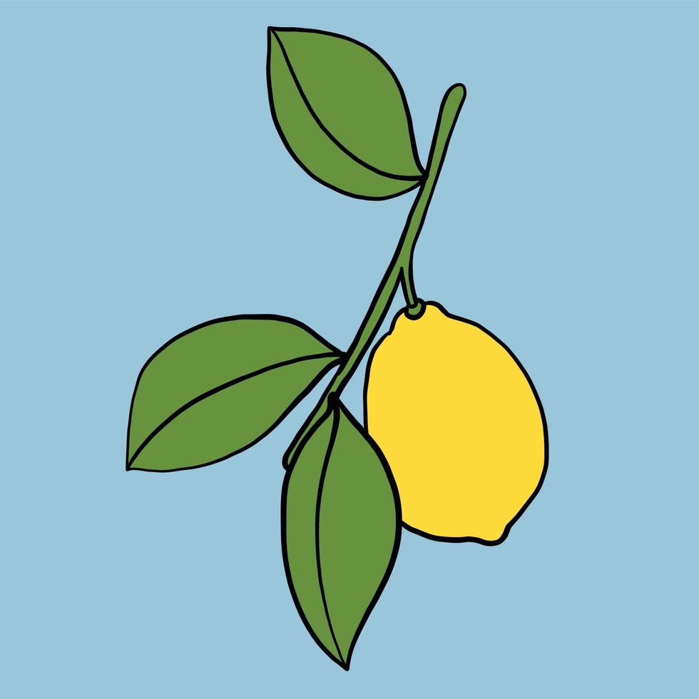 scarabocchiare a mano libera disegno di frutta di limone. vettore