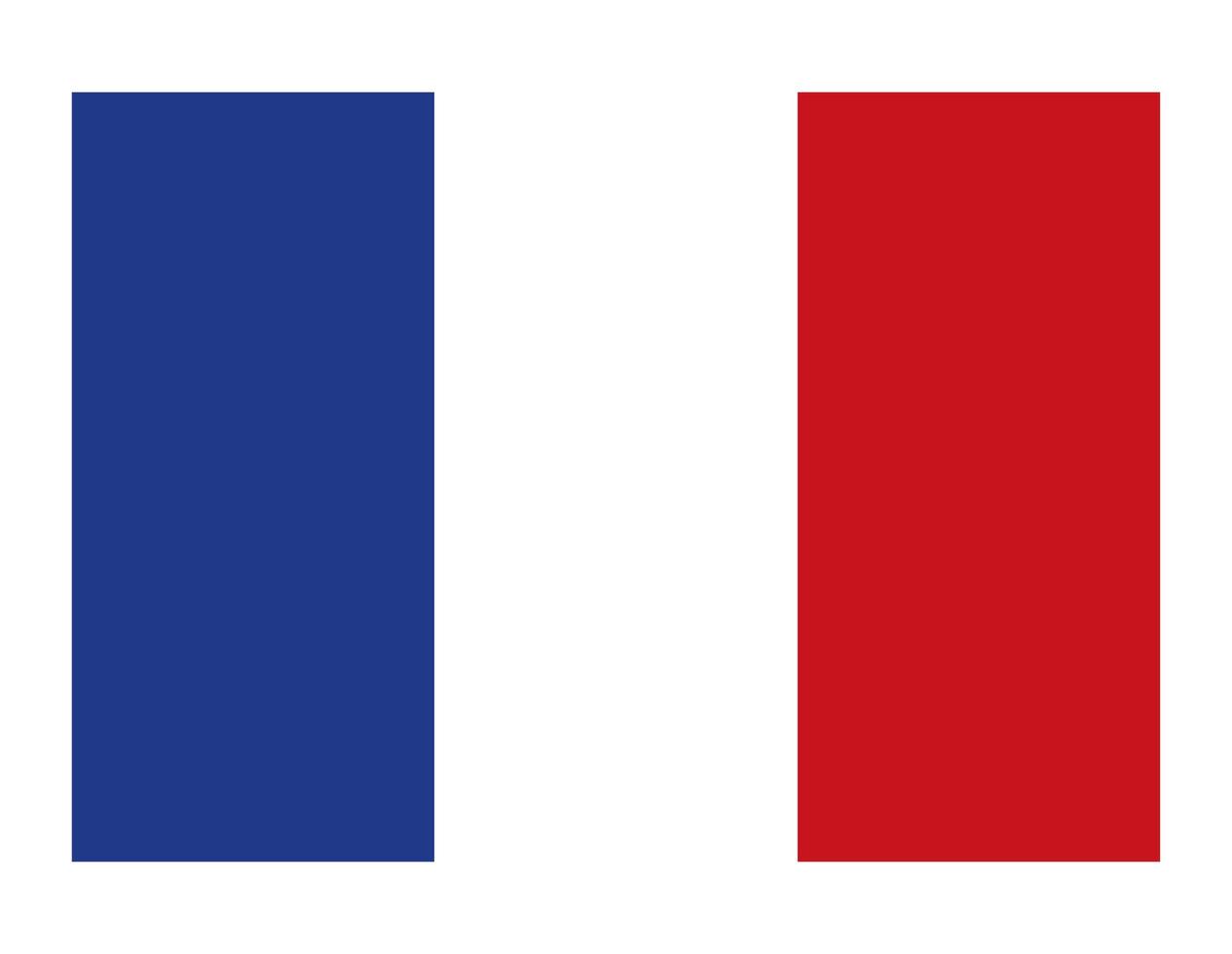 bandiera del paese della francia vettore