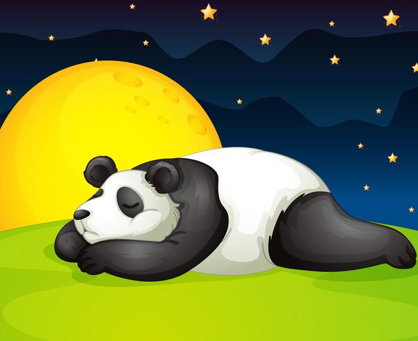 panda che riposa nella notte vettore