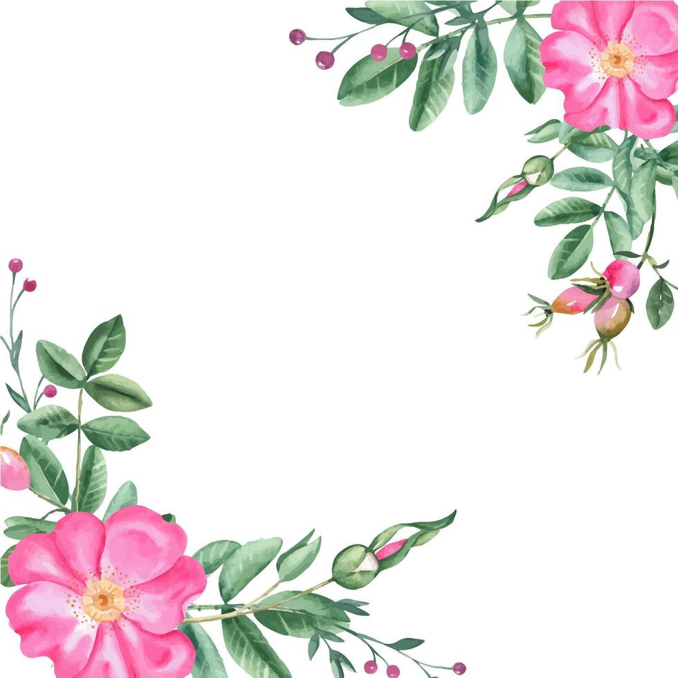 cane rosa piazza telaio, confine. angolo mazzo, composizioni a partire dal fiori, le foglie e frutti di bosco. botanico mano disegnato acquerello illustrazione. può essere Usato per carte, loghi e cosmetico design. vettore