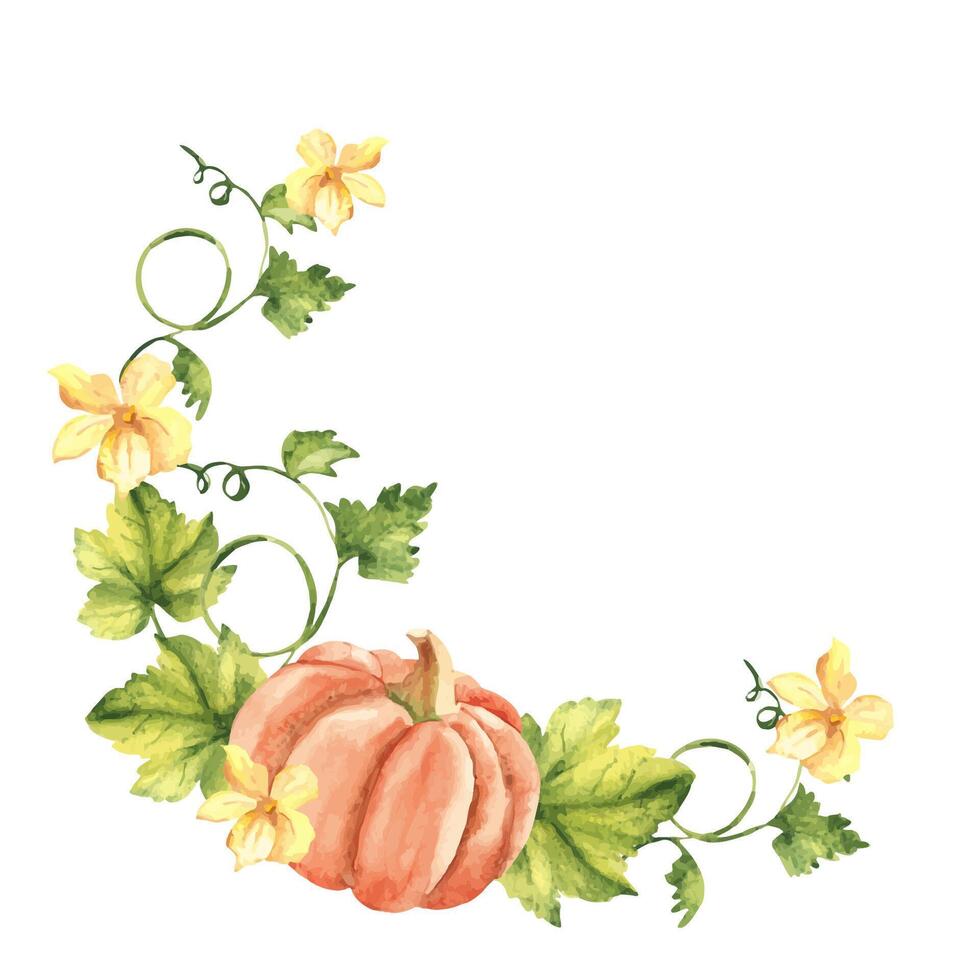 zucca acquerello ghirlanda. mano disegnato verdura botanico illustrazione isolato su bianca sfondo. può essere Usato per invito e saluto carte, loghi e tessile design. Vintage ▾ stile. vettore