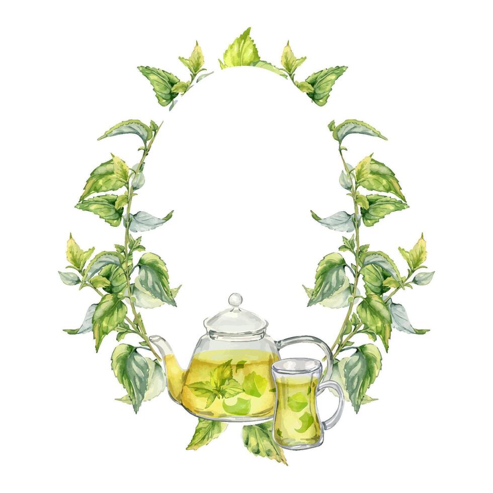 telaio di trasparente teiera con erbe aromatiche tè isolato su bianca . bicchiere teiera con ortica tè acquerello illustrazione. erbe aromatiche e tazza di caldo bevanda mano disegnato. confezione di asciutto erba, verde tè vettore