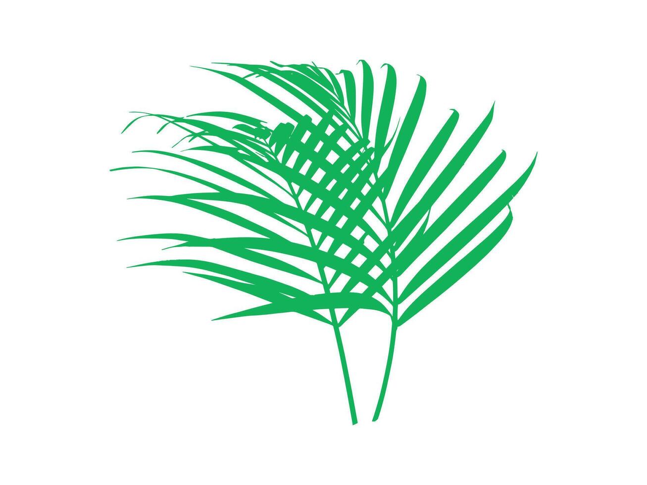 palma verde le foglie sfondo illustrazione vettore
