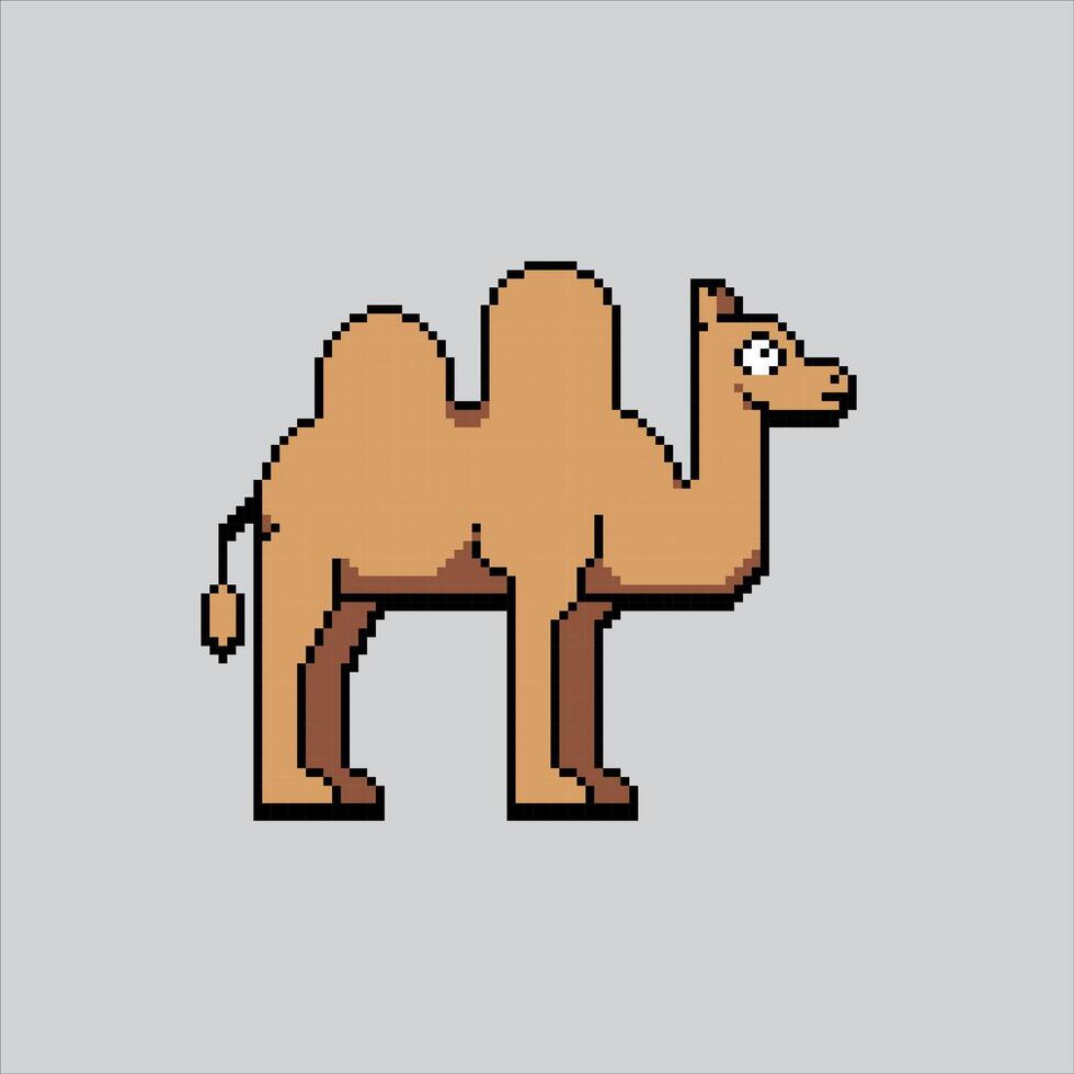 pixel arte illustrazione cammello deserto. pixelated cammello. deserto cammello animale pixelated per il pixel arte gioco e icona per sito web e gioco. vecchio scuola retrò. vettore