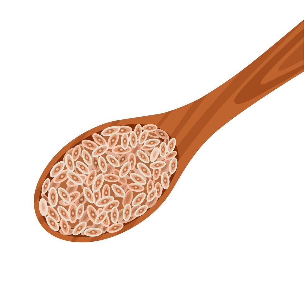 illustrazione, plantago ovata semi, anche conosciuto come ispagula e psillio, su un' di legno cucchiaio, isolato su bianca sfondo. vettore