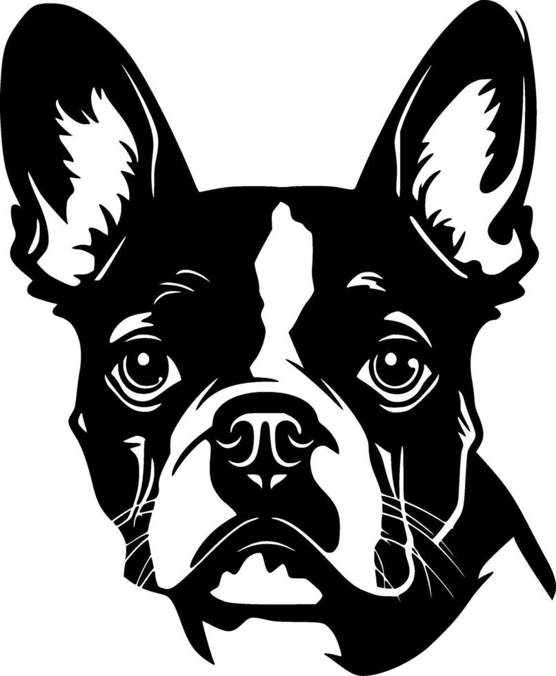 boston terrier, nero e bianca illustrazione vettore