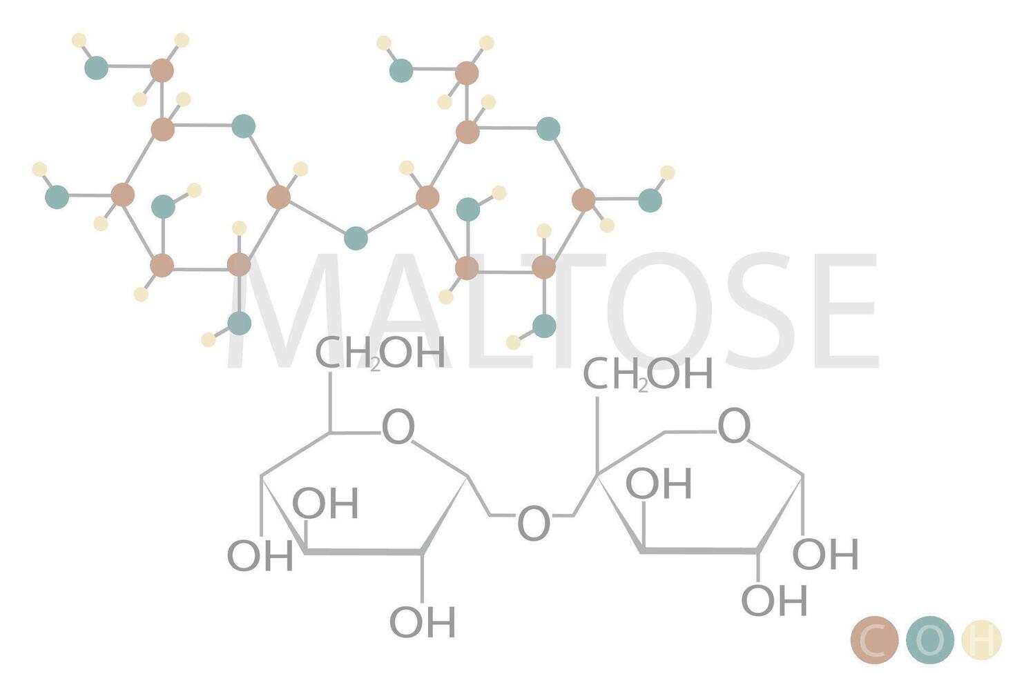 maltosio molecolare scheletrico chimico formula vettore