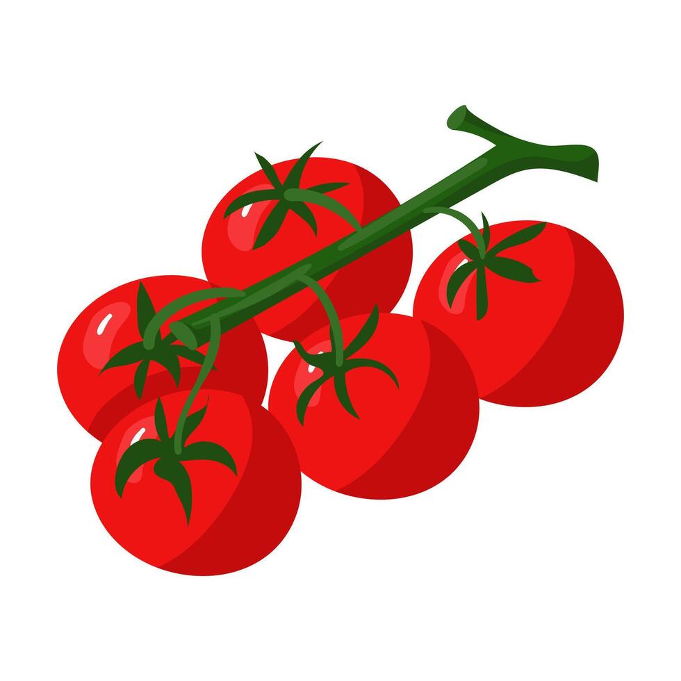 succoso rosso pomodori su il ramo isolato, simboleggiante freschezza e naturale generosità. esso è ideale per culinario grafica, spot pubblicitari a agricoltori mercati, cartoline con ricette. illustrazione vettore