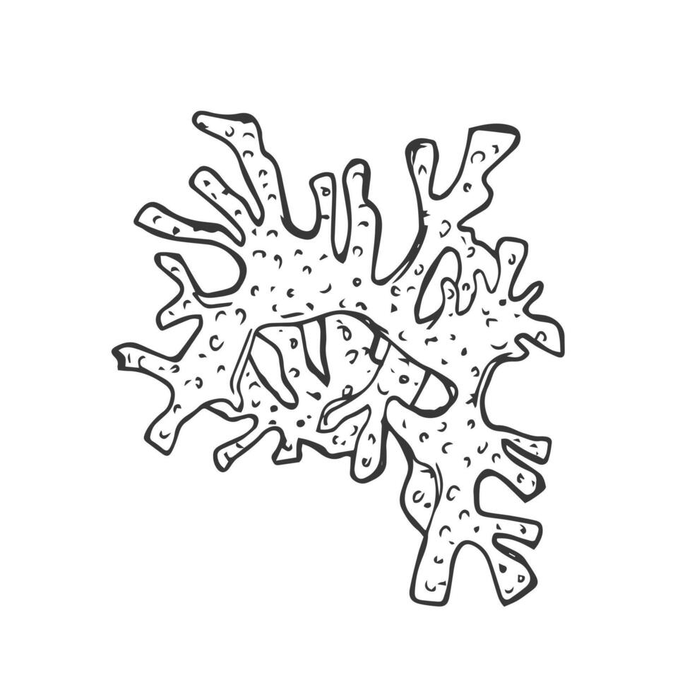 isolato semplice contorno corallo modello. incolore nero linea corallo ramo schema scarabocchio schizzo. vettore