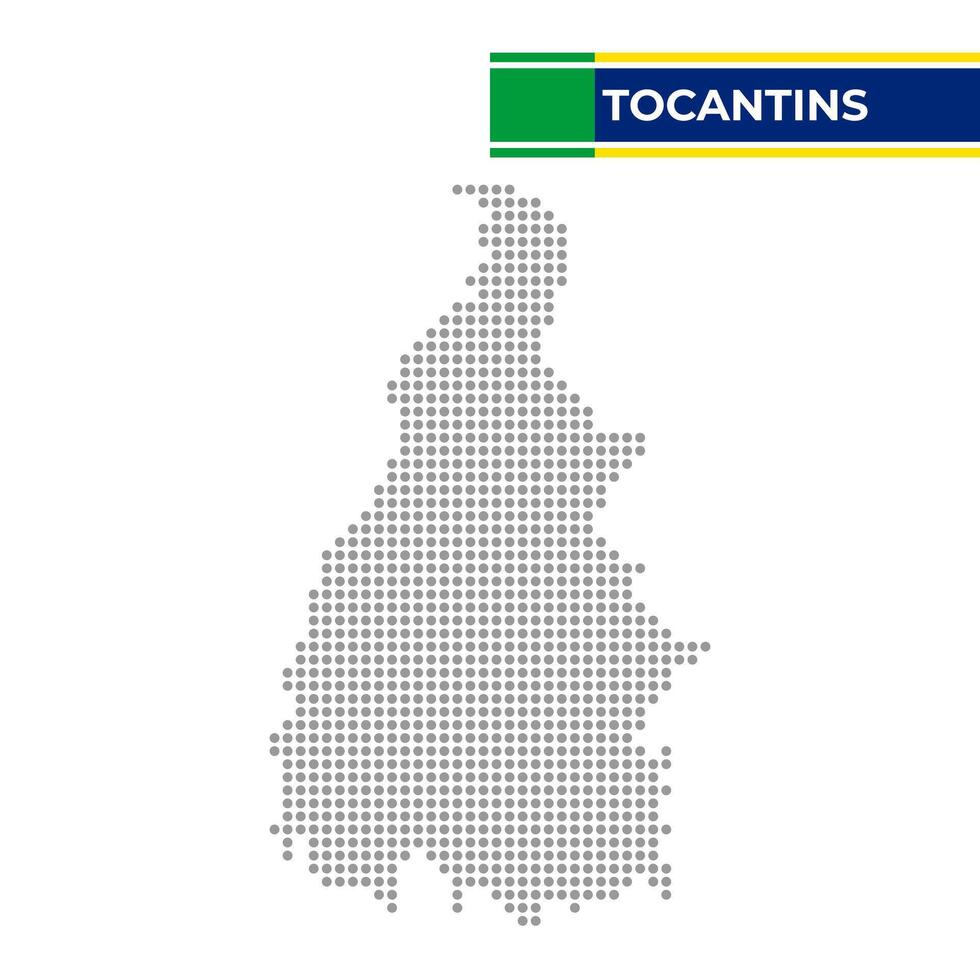 tratteggiata carta geografica di il stato di tocantine nel brasile vettore