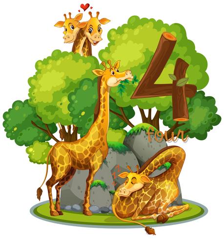 Quattro giraffe in natura vettore